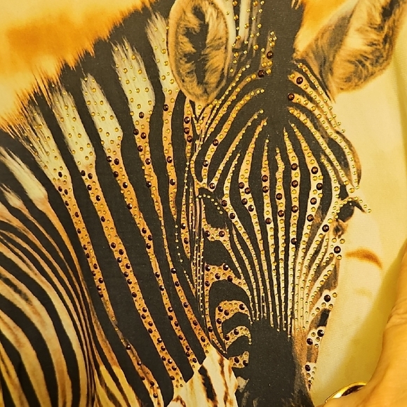 Wild Zebra Print Sleeveless Tunic - Picture 3 of 7